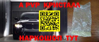 гашик Кунгур