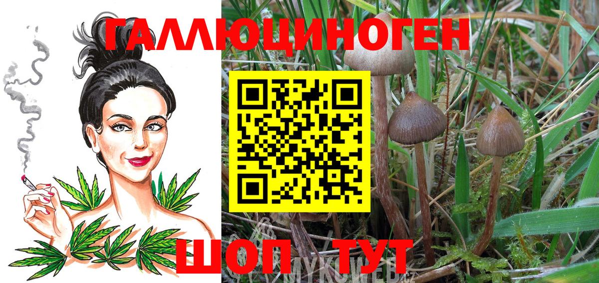 Галлюциногенные грибы мухоморы  Вход с VPN  Ивантеевка  магазин продажи   Галлюциногенные грибы Psilocybine cubensis 